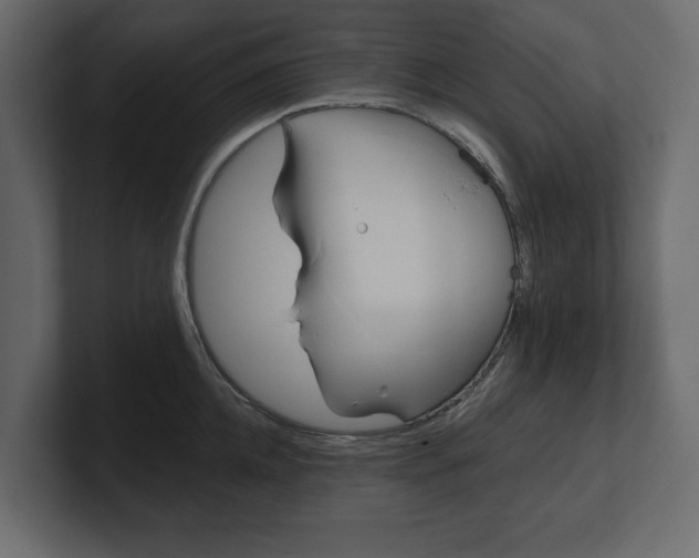 X0000100470952200806271139