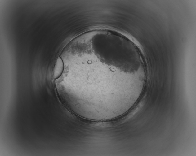 X0000100470953200806271139