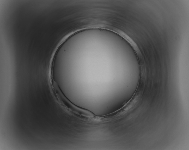 X0000100470956200806271139