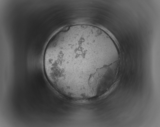 X0000100470957200806271139