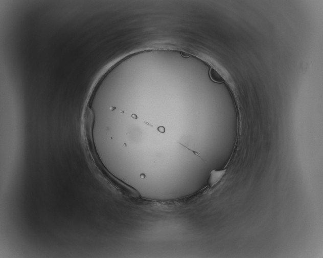 X0000100470960200806271139