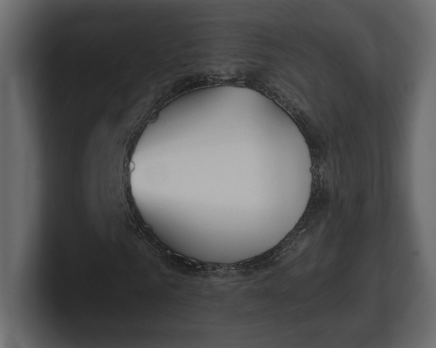 X0000100470961200806271138