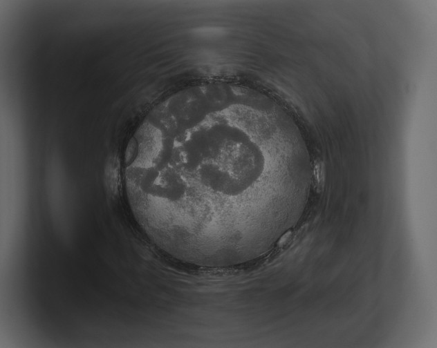 X0000100470963200806271138