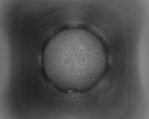 X0000100470964200806271138