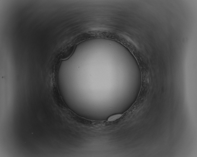 X0000100470965200806271138