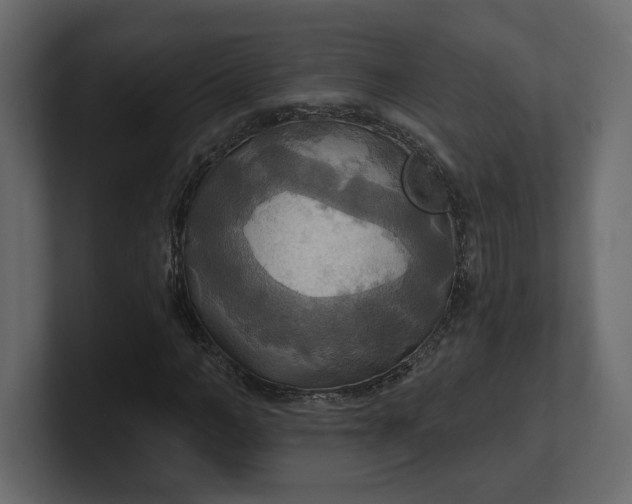 X0000100470966200806271138