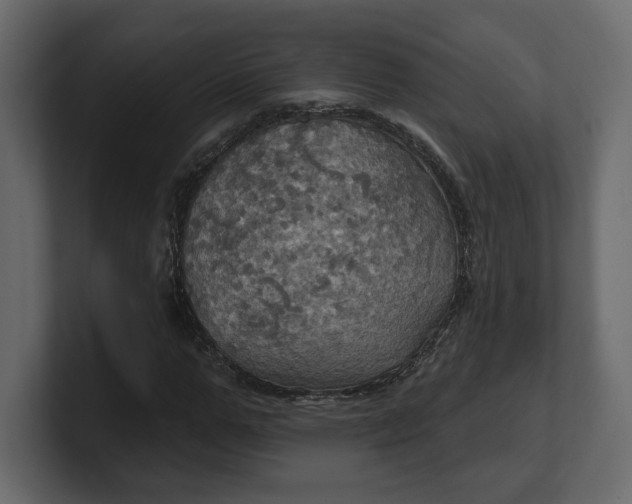 X0000100470967200806271138