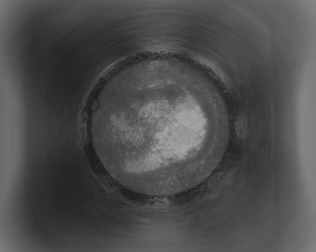 X0000100470968200806271138