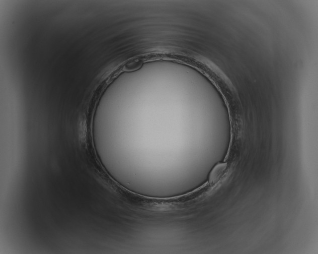 X0000100470969200806271138