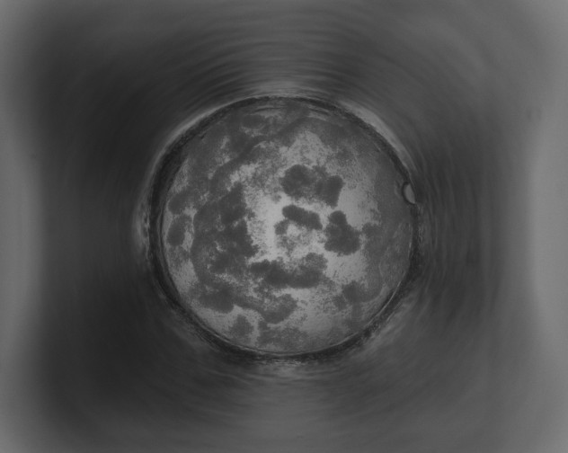 X0000100470971200806271138