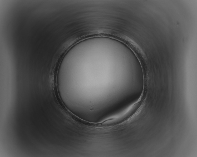 X0000100470977200806271138