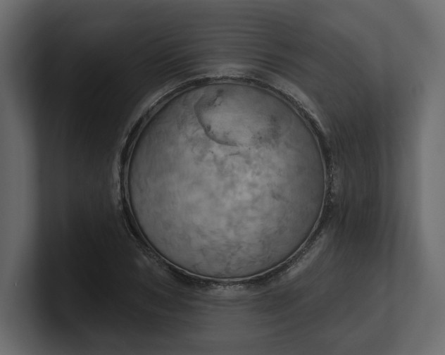 X0000100470978200806271138