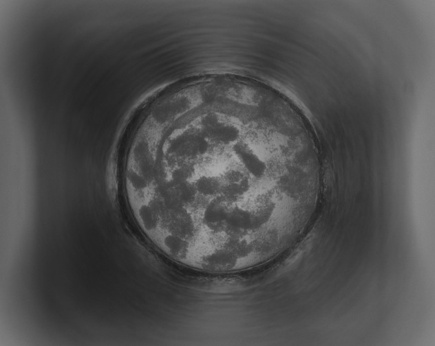 X0000100470979200806271138