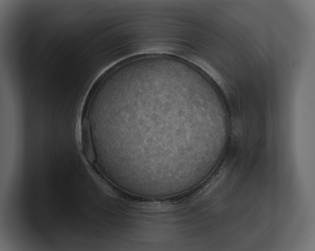 X0000100470980200806271138