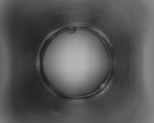 X0000100470981200806271138