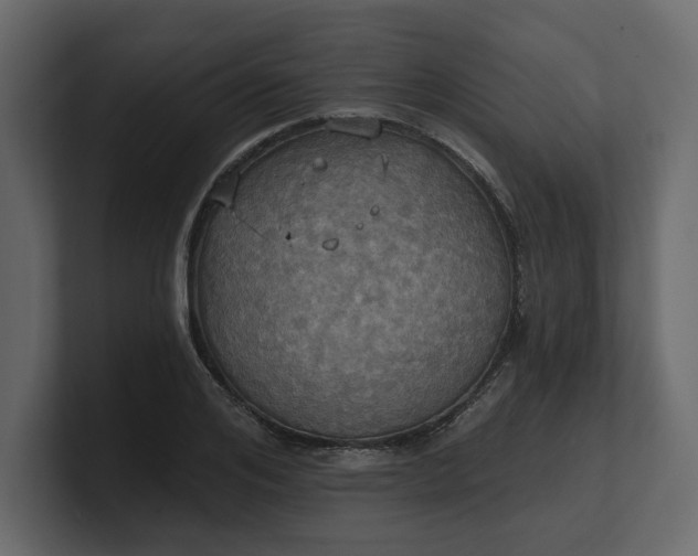 X0000100470984200806271138