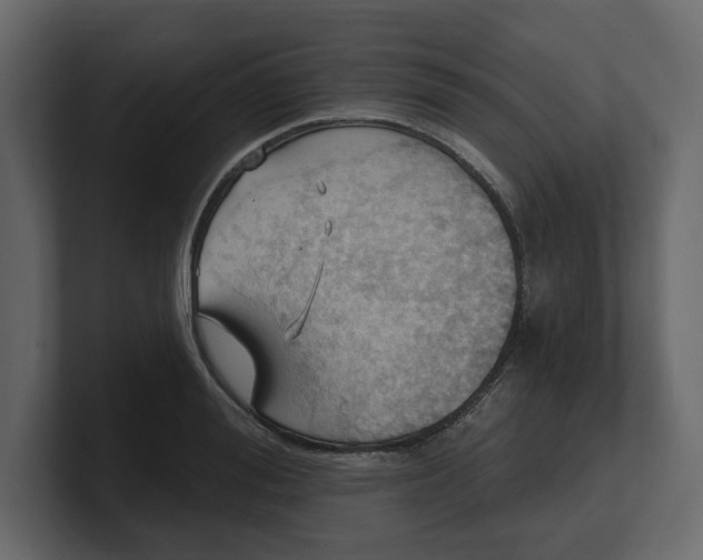 X0000100470988200806271138