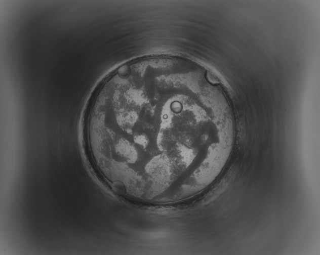 X0000100470991200806271138