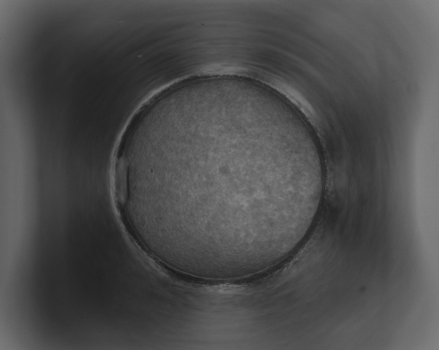 X0000100470992200806271138