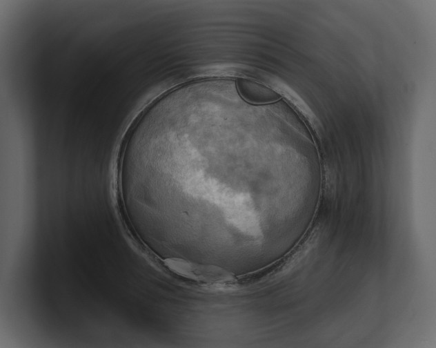 X0000100470994200806271138