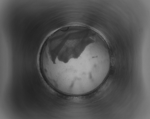 X0000100470995200806271138