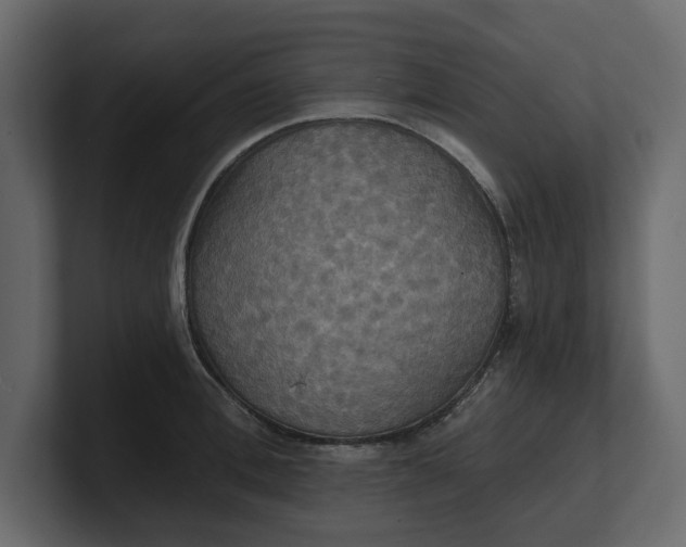 X0000100470996200806271138