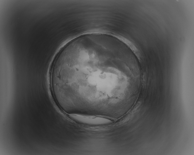 X0000100470998200806271138