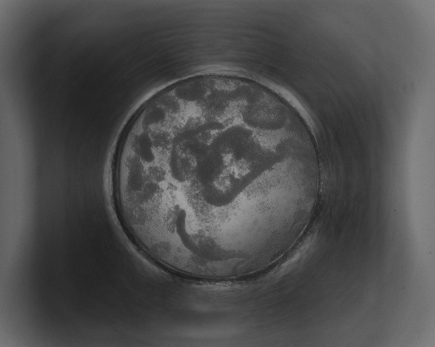 X0000100470999200806271138