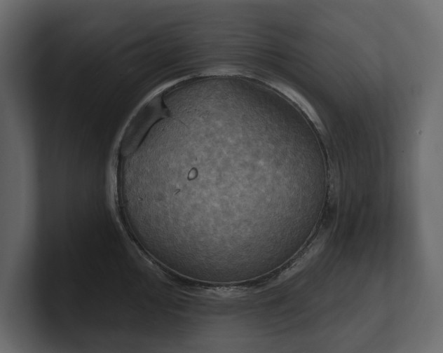 X0000100471000200806271138