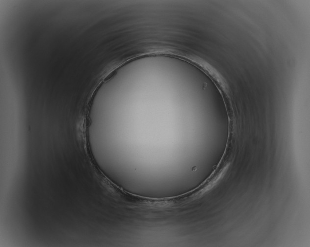 X0000100471001200806271138