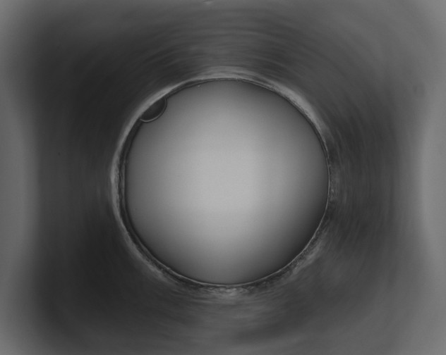 X0000100471003200806271138