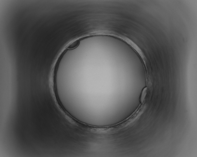 X0000100471005200806271138