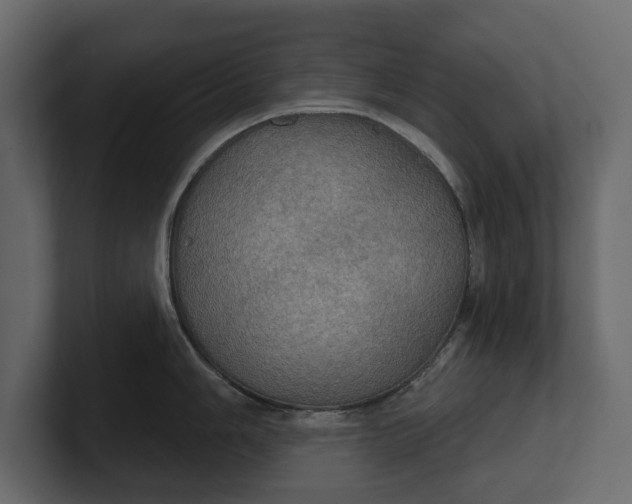 X0000100471006200806271138