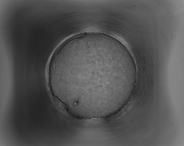 X0000100471008200806271138