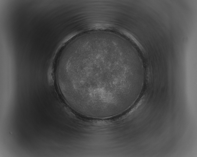 X0000100471018200806271137