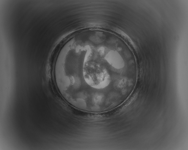 X0000100471019200806271137