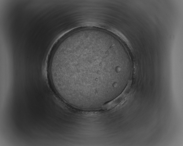 X0000100471020200806271137