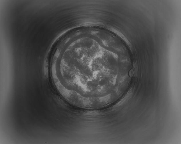 X0000100471021200806271137