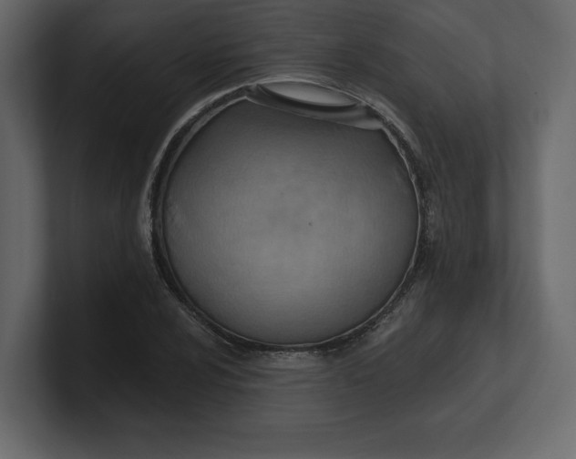 X0000100471024200806271137