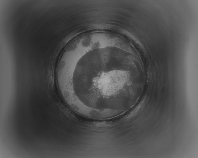 X0000100471025200806271137