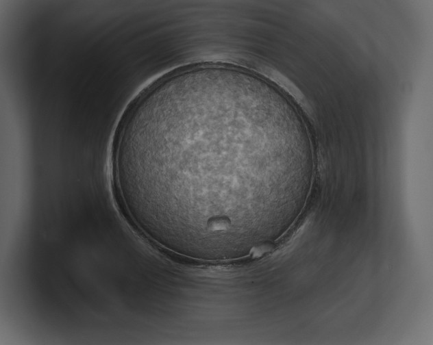 X0000100471028200806271137