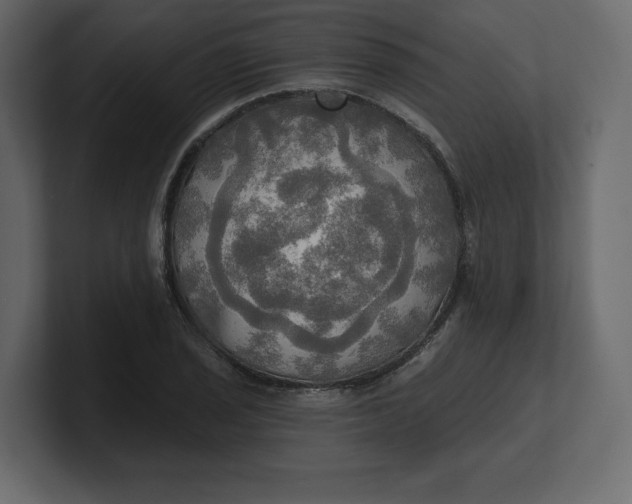 X0000100471029200806271137