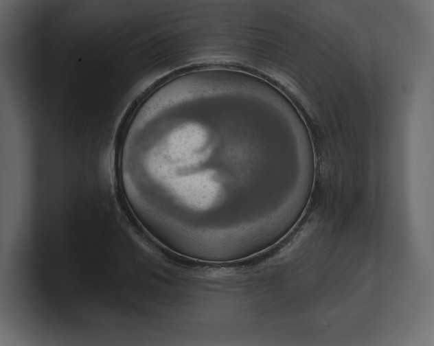 X0000100471030200806271137