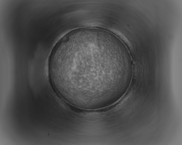 X0000100471031200806271137