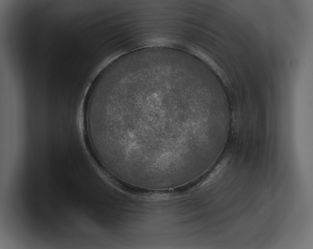 X0000100471034200806271137