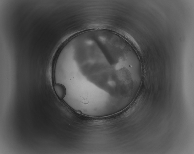 X0000100471035200806271137