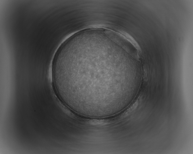 X0000100471036200806271137