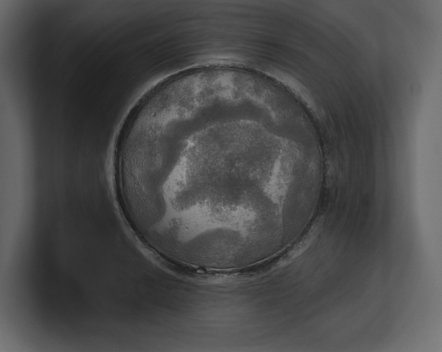 X0000100471038200806271137