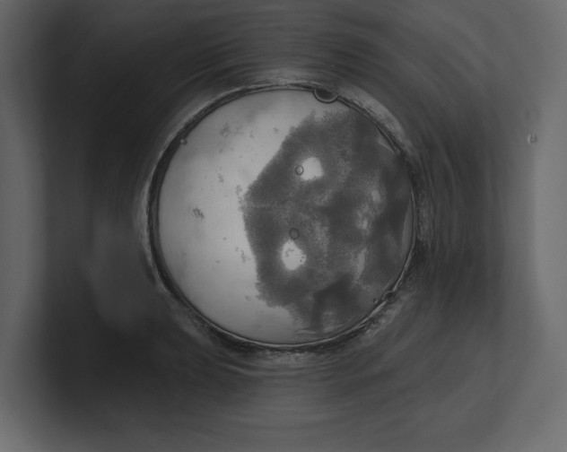 X0000100471039200806271137