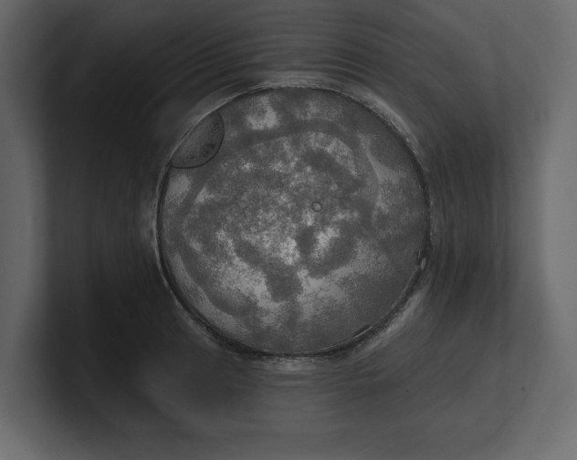 X0000100471041200806271137